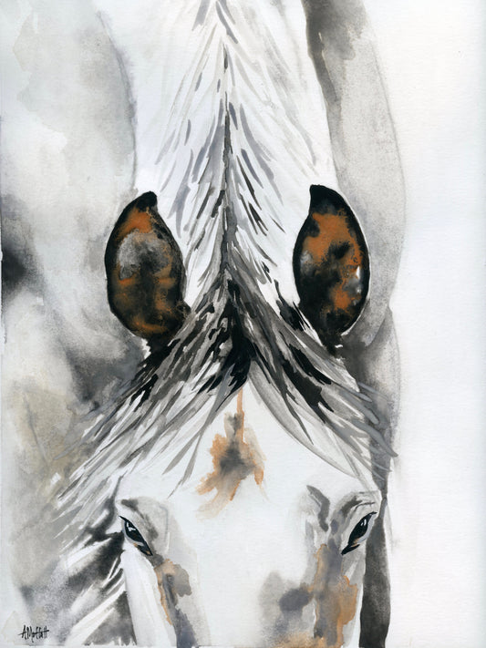 White Horse Ears – Giclée Canvas Print of Original Watercolor Equestrian Art