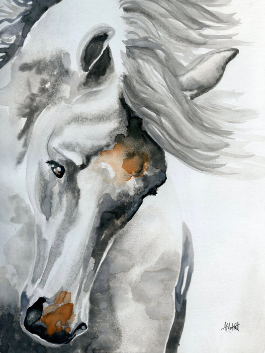 White Horse Tossing His Head – Giclée Canvas Print of Original Watercolor Horse Art