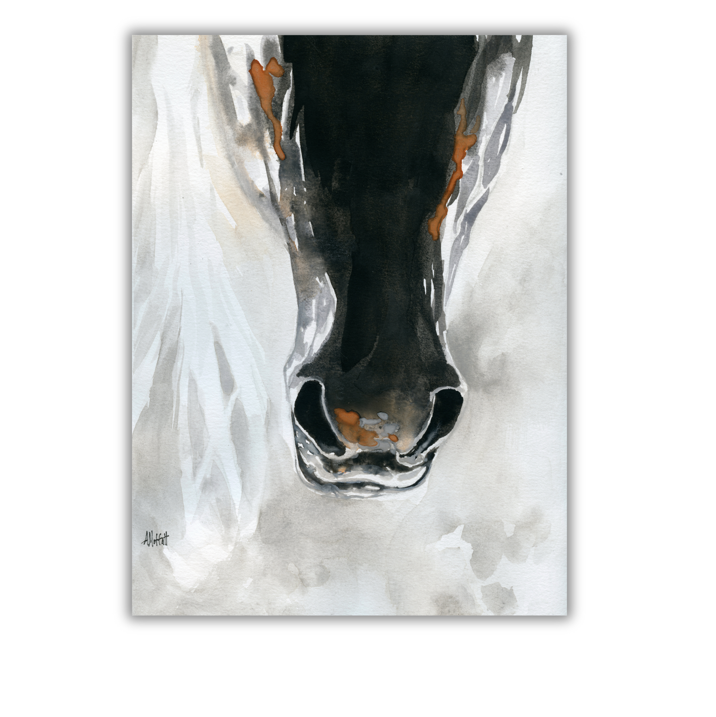 Dark Horse Muzzle – Giclée Canvas Print of Original Watercolor Horse Portrait