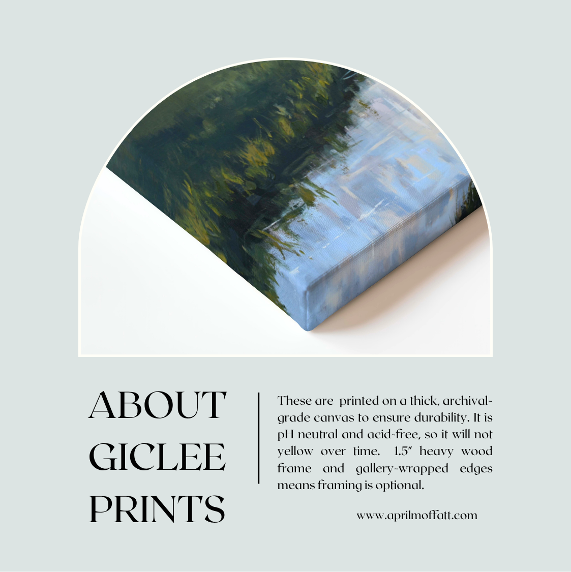 Morning Reflection - Gallery-wrapped Giclee Canvas Print