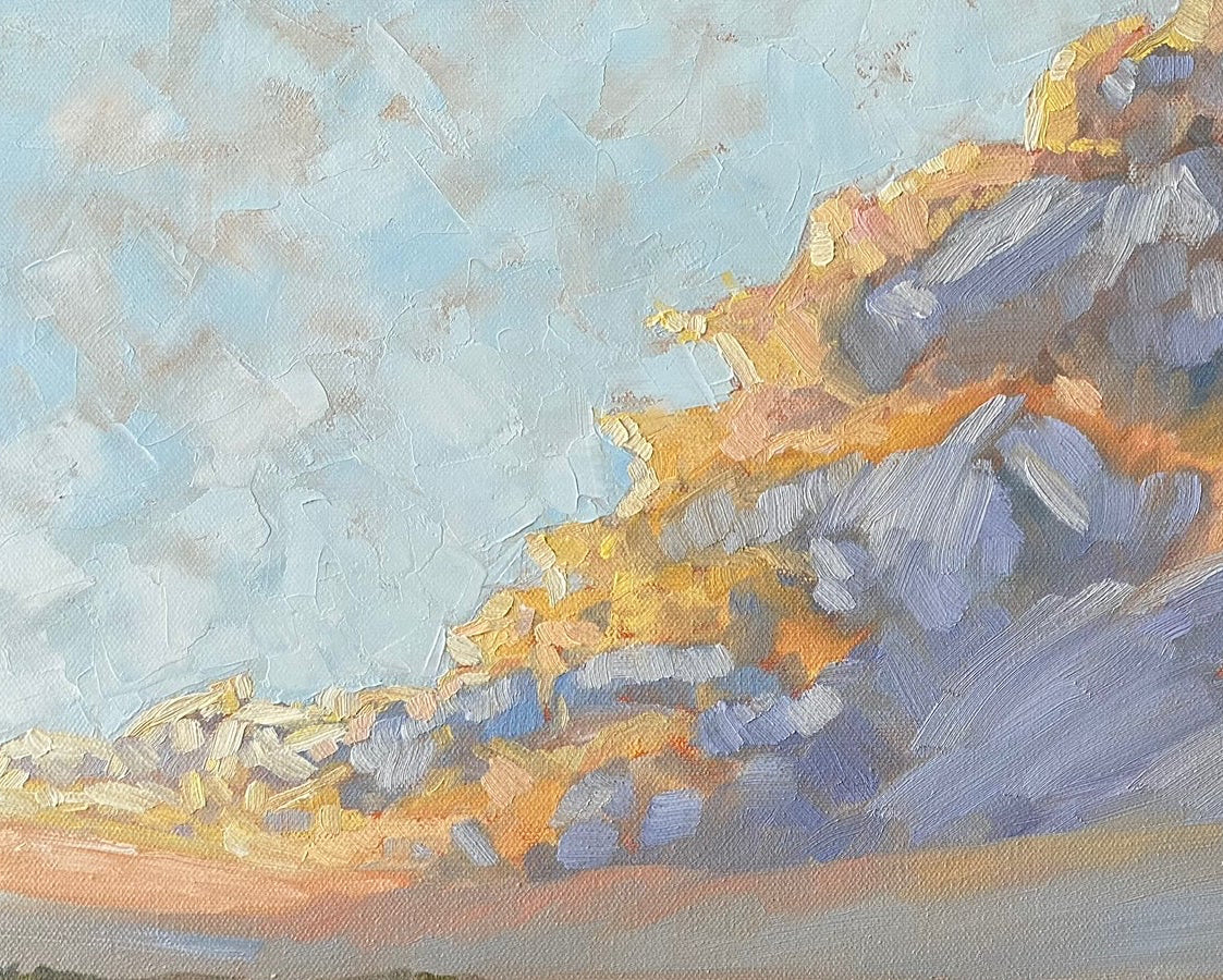 cloud up of impasto texture and oil paint texture of thunderclouds over the marsh oil embellished giclee canvas