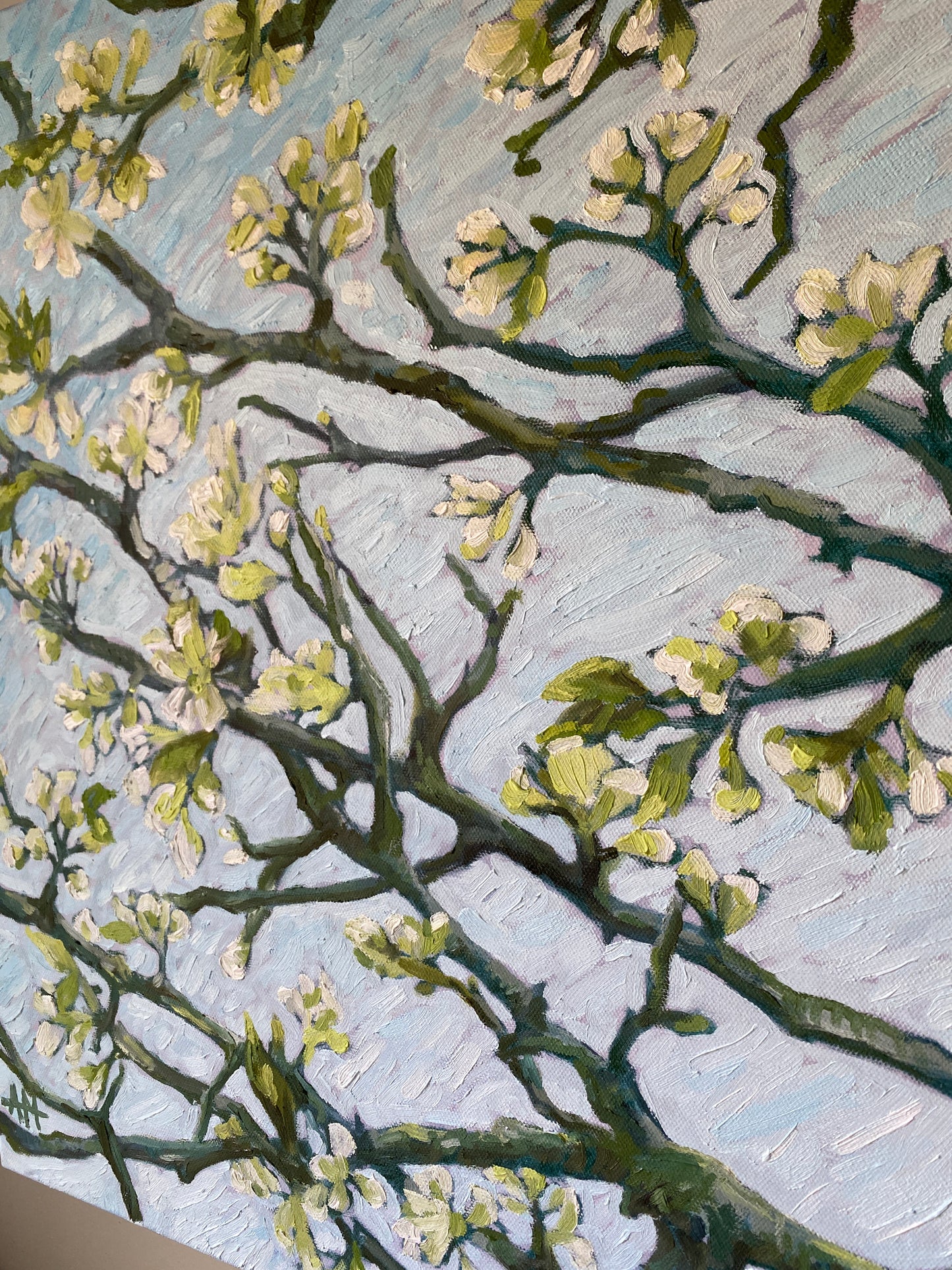 Original Oil Painting - Almond Blossoms in Spring