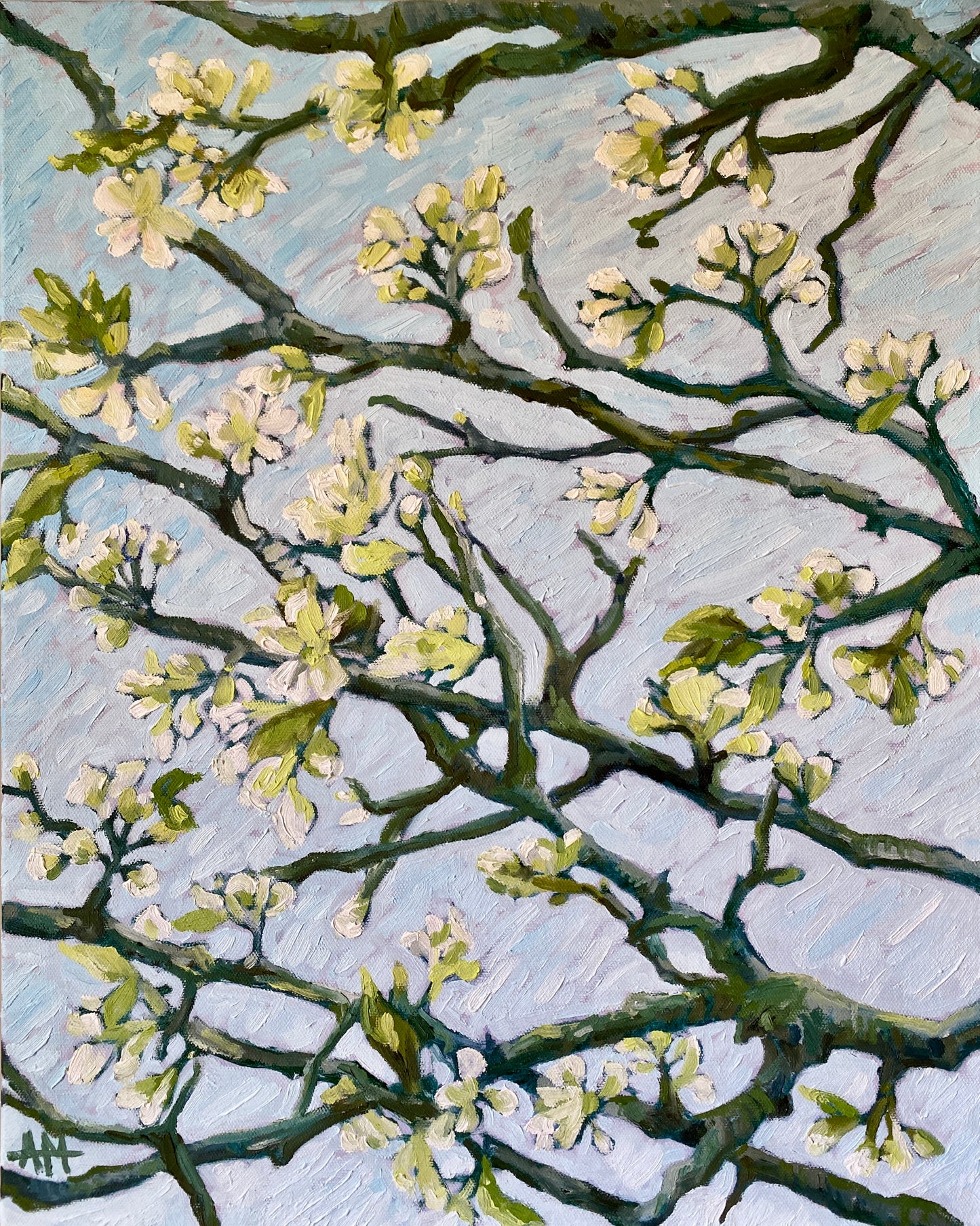 Original Oil Painting - Almond Blossoms in Spring