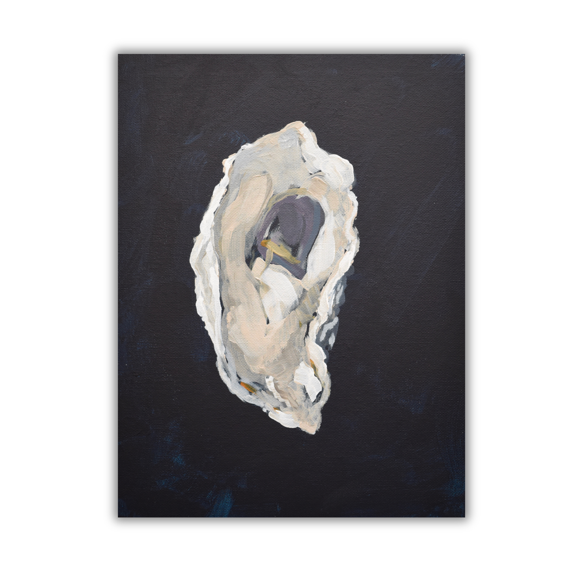 Painting of an oyster shell on a dark background