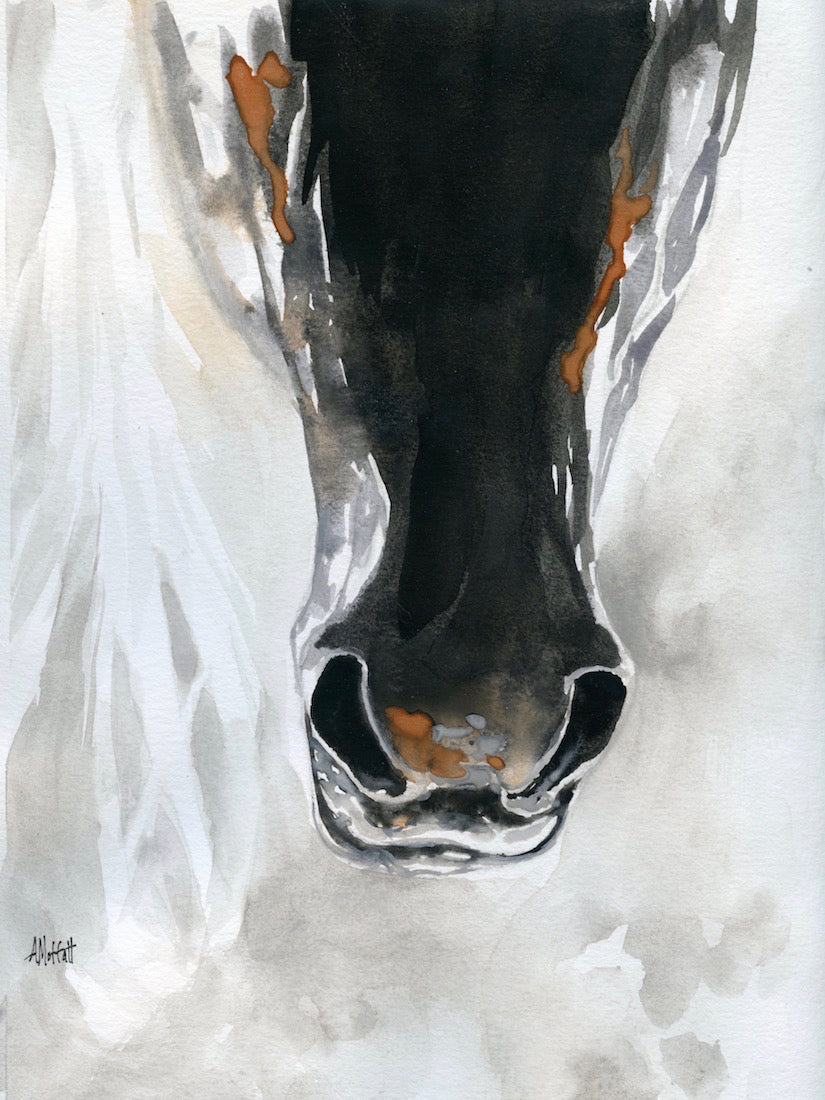 Dark Horse Muzzle – Giclée Canvas Print of Original Watercolor Horse Portrait