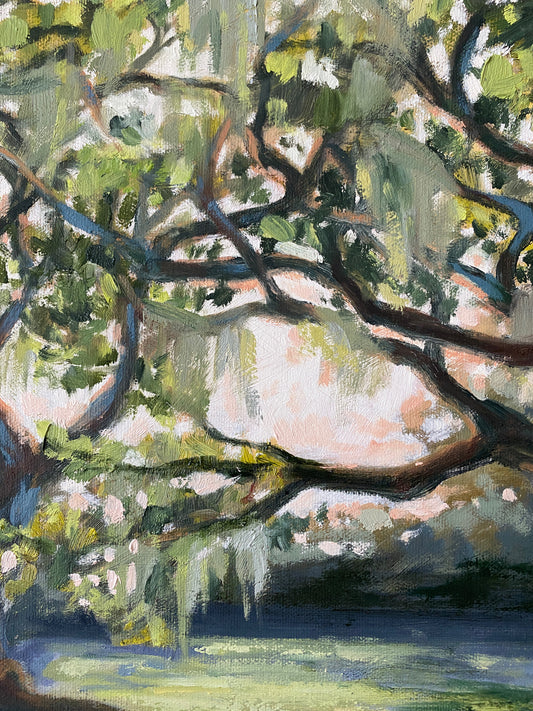 Morning at Middleton – Original Oil Painting